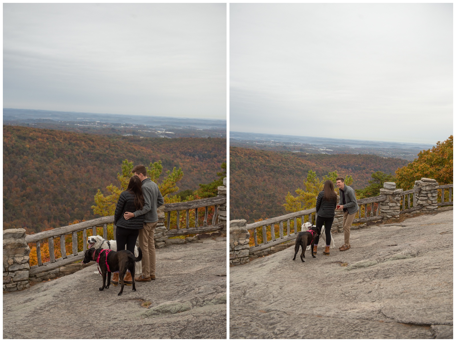 Coopers Rock WV Surprise Proposal